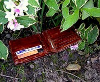 a lost wallet
